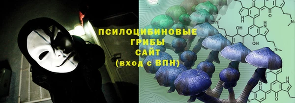 ECSTASY Лабытнанги