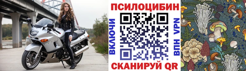 Купить  Красновишерск  Псилоцибиновые грибы прущие грибы 